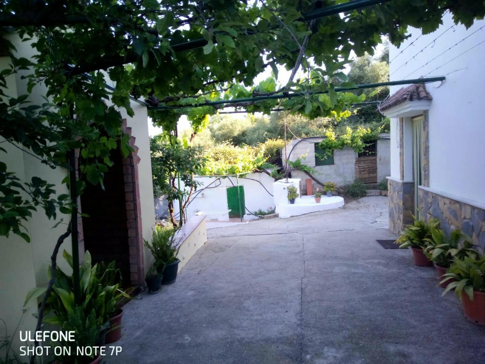 Gasthaus Casa El Pino Cortes de la Frontera Exterior foto