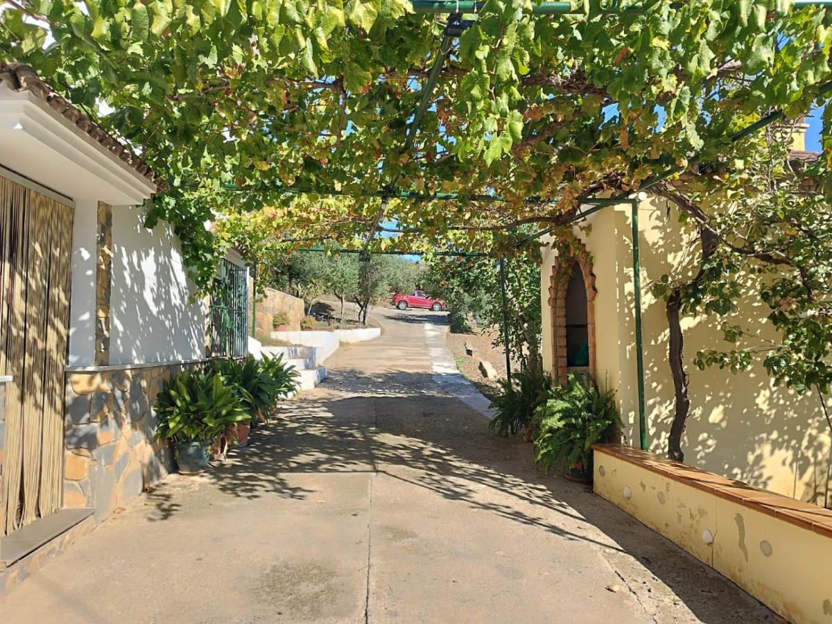 Gasthaus Casa El Pino Cortes de la Frontera Exterior foto
